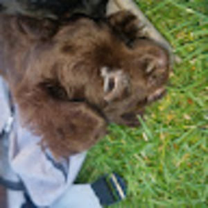 Meet your Posher, Karla